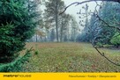 Dom z dużą działką w malowniczym Andrzejowie - 16