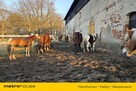 Działka rekreacyjno- budowlana  ok 12 km od morza. - 5