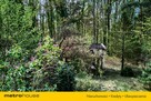Działka budowlana w miejscowości Sokolniki-Las - 8