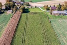 Działka budowlana Sobieszczany-Kolonia gm. Niedrzwica Duża - 3
