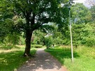 Mieszkanie Wrocław Krzyki, Borek, Działkowa - 8