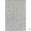 Płytki Granitowe G602 Bianco Sardo płomieniowane 60x40x2 cm - 1