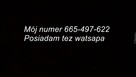 Jestem Do Wzięcia Tylko z Torunia - 3
