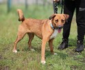 Roczna zachwycająca Lola - 6