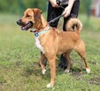 Roczna zachwycająca Lola - 3
