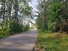 Działka budowlana w pobliżu jezior i lasów - 6
