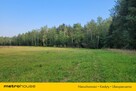 Działka budowlana przy lesie - 2