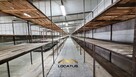 Lokal użytkowy Częstochowa, Srebrna - 12