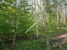 Działka budowlana 6577 m2 Radonie z MPZP - 2