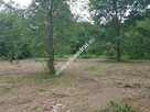 Zadrzewiona urocza działka z pozwoleniem na budowę - 2