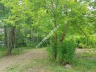 Zadrzewiona urocza działka z pozwoleniem na budowę - 8