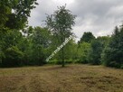 Zadrzewiona urocza działka z pozwoleniem na budowę - 3