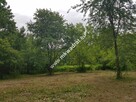 Zadrzewiona urocza działka z pozwoleniem na budowę - 7