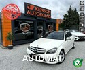 Mercedes C 250 AMG, Oryginalny przebieg, Panorama dach otwierana, LED - 1
