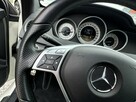 Mercedes C 250 AMG, Oryginalny przebieg, Panorama dach otwierana, LED - 16