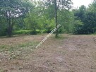 Zadrzewiona urocza działka z pozwoleniem na budowę - 6