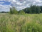 Kraków Tyniec – działka rolna 2444 m², ul. Promowa - 7