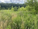 Kraków Tyniec – działka rolna 2444 m², ul. Promowa - 11