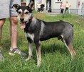 Zjawiskowy Gutek po metamorfozie! - 6
