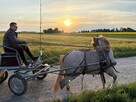 Poznam panią - 3