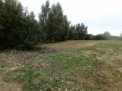 Koszenie, czyszczenie działek - 1