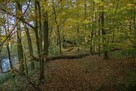 Sprzedam działkę budowlaną 1000m2 - 3