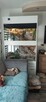Fajne terrarium!!! - 4