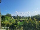 Sprzedam dom z dużą działką i budynkami gospodarczymi - 4
