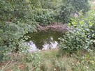 Dom Międzyborów gm. Jaktorów, - 8