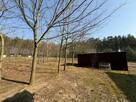 Działka inwestycyjna Klusek gm. Gostynin, - 9