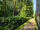 2 pokojowe, otoczone zielenią, parking, ul. Kurzei, Prądnik / Mistrzejowice, - 2