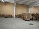 Duża cebula !!! - 4