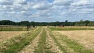 Lipienice Dolne k Szydłowca działki budowlane 1051m2, 1081m2 - 2