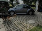 VW NEW BEETLE 1.9TDI 101KM - 5
