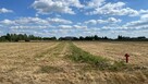 Lipienice Dolne k Szydłowca działki budowlane 1051m2, 1081m2 - 4