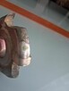 Frezy do drewna fi 30 mm 4szt - 2