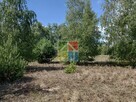 Działka pod zabudowę 2600 m2 w okolicy Szczawina - 5