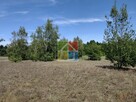 Działka pod zabudowę 2600 m2 w okolicy Szczawina - 7