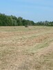 Fajne tereny na rower ,spacer, piknik ,pierwszy pocałunek :) - 7