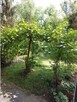 sprzedam mieszkanie - 13