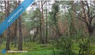 DZIAŁKA LEŚNA WILGA OTW - 4