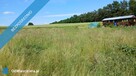 Działka rekreacyjna w sercu Kaszub, pow 500 m. Zieleń, cisza i spokój - 10