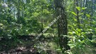 Działka budowlana 6577 m2 Radonie z MPZP - 16