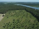 Działka budowlana Boguszewo gm. Miłomłyn, - 2