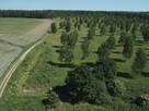 Działka budowlana Boguszewo gm. Miłomłyn, - 4