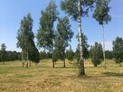 Działka budowlana Boguszewo gm. Miłomłyn, - 5