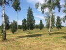 Działka budowlana Boguszewo gm. Miłomłyn, - 6