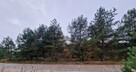 Piękne działki budowlane 1001 m2 i 1092 m2 - 3