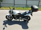 Honda Hornet - 2