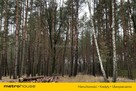 Malownicza działka 2700m2 w Kamieńczyku - 3